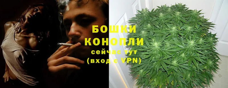 наркота  ОМГ ОМГ рабочий сайт  Каннабис THC 21%  Голицыно 